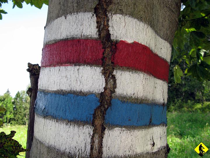 fota 042.jpg - Teren wznosi się delikatnie aż do Babicy, gdzie teoretycznie powinno być dużo więcej w dół. Teoretycznie, bo praktycznie to jest różnie :)